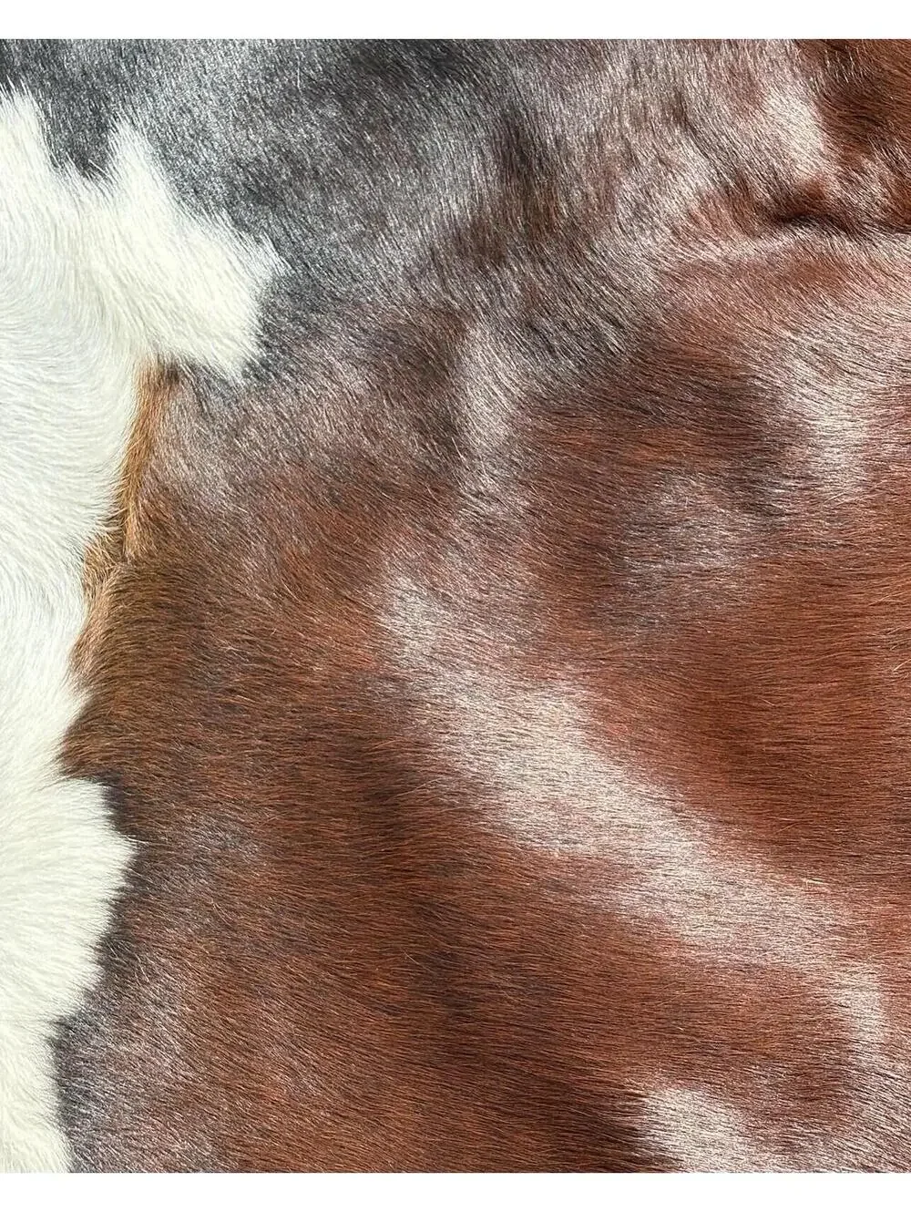 Brown and white Cowhide Leather Cow Skin Rug sunshine cowhide made In Brazil.